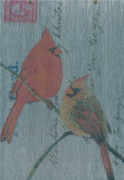 Cardinal (male-female)